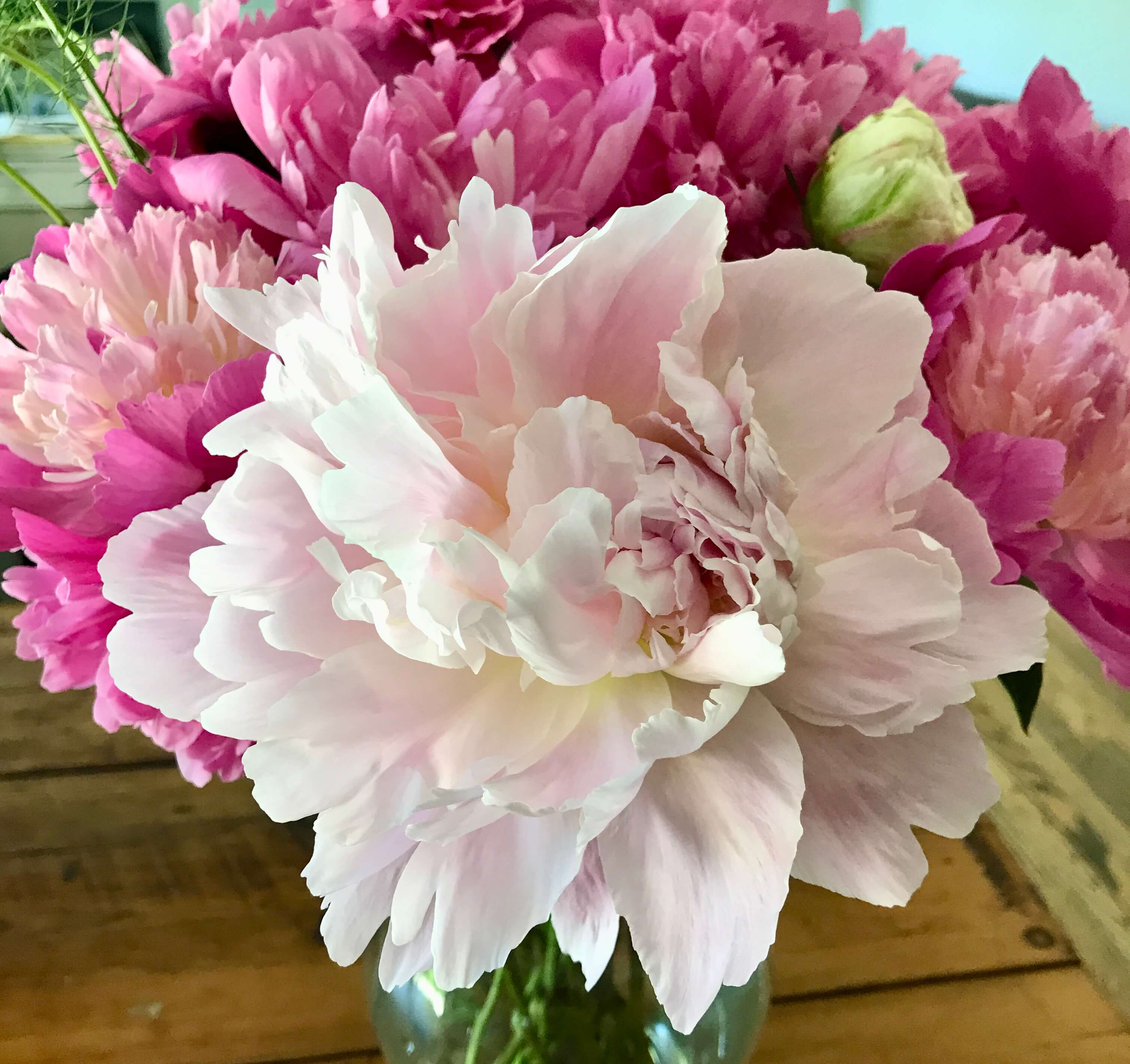 A bouquet of pink and white peonies in a glass vase on a wooden table.